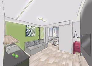 Заказать Блиц-дизайн интерьеров «от производителей» для людей строящих свой дом, квартиру в г. Сумы . Кухня-гостиная 17м2